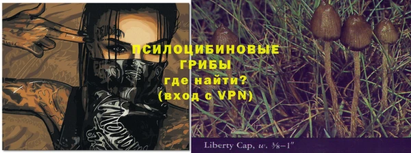 apvp Новодвинск