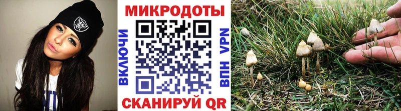 Псилоцибиновые грибы MAGIC MUSHROOMS  Староминская 
