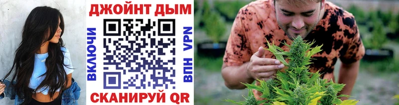 Бошки марихуана VHQ  как найти наркотики  darknet формула  Староминская 